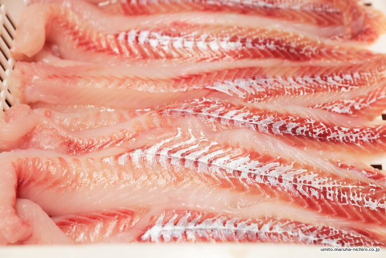 Alaska polloak,Theragra chalcogramma