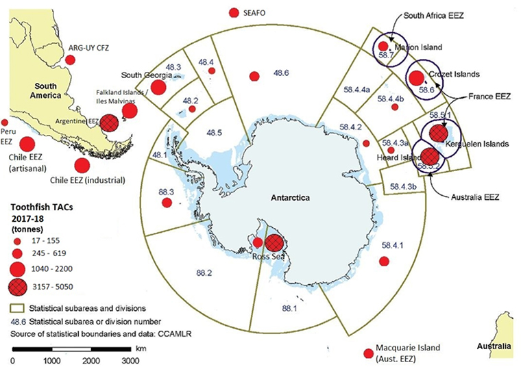 mero,Dissostichus eleginoides