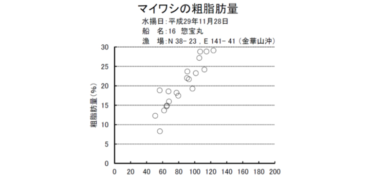 sardine,Sardinops melanostictus