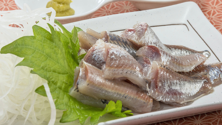 sardine,Sardinops melanostictus