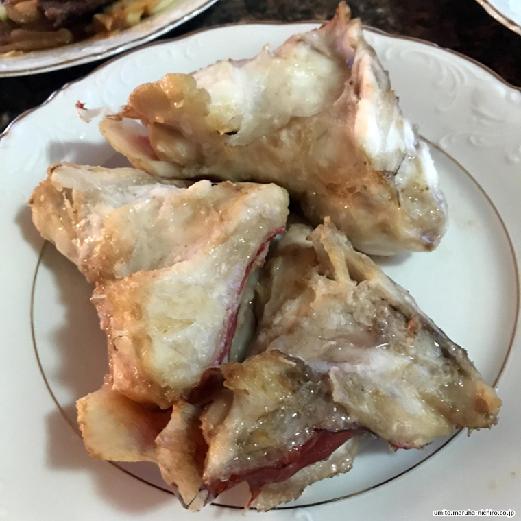 Shortspine thornyhead,Sebastolobus alascanus