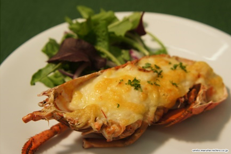 lobster,Homarus americanus