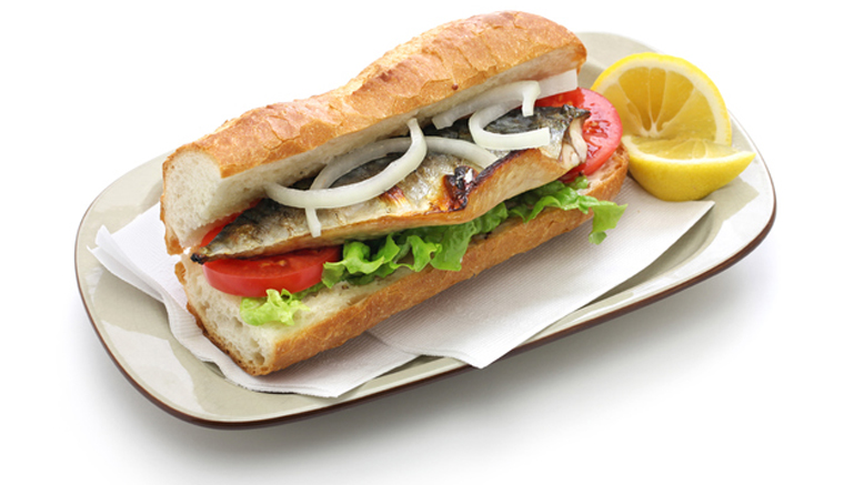 Atlantic mackerel,Scomber scombrus