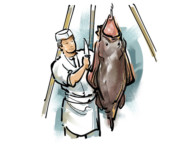 monkfish,Lophiomus setigerus