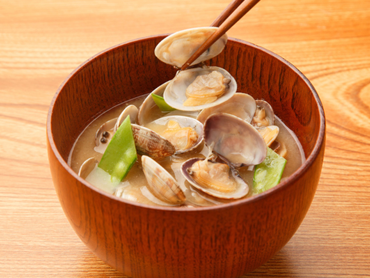 Japanese littleneck clam,Ruditapes philippinarum