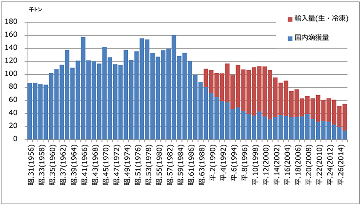 Japanese littleneck clam,Ruditapes philippinarum