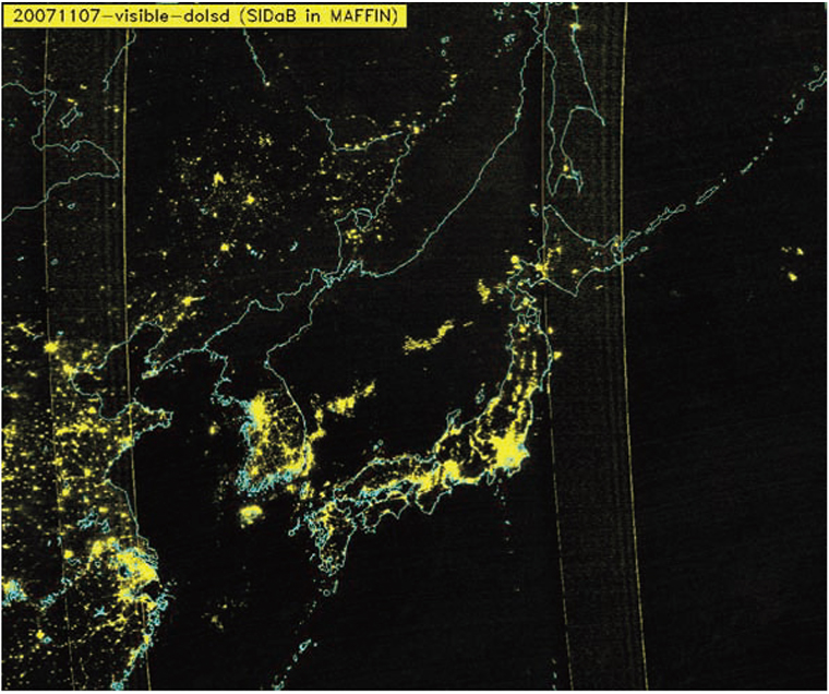 squid,Todarodes pacificus