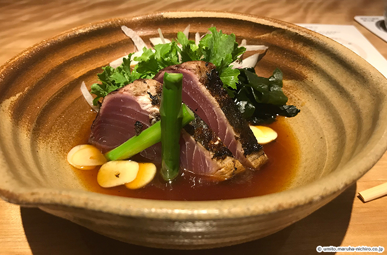 skipjack tuna,Katsuwonus pelamis