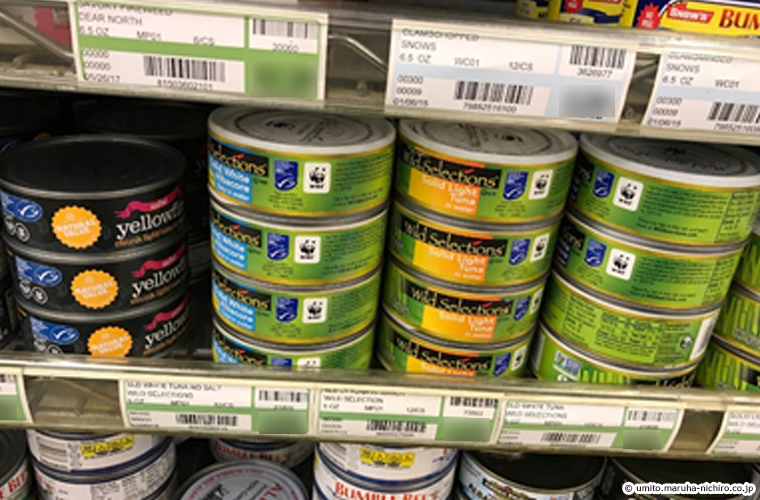 skipjack tuna,Katsuwonus pelamis