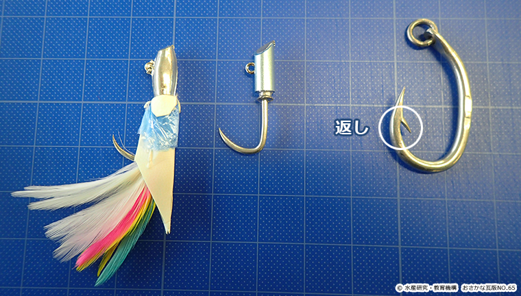 skipjack tuna,Katsuwonus pelamis