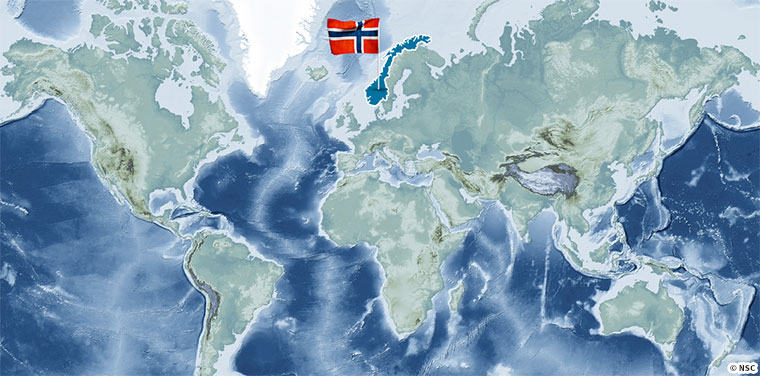 Atlantic salmon,Salmo salar