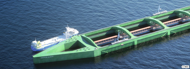 Atlantic salmon,Salmo salar