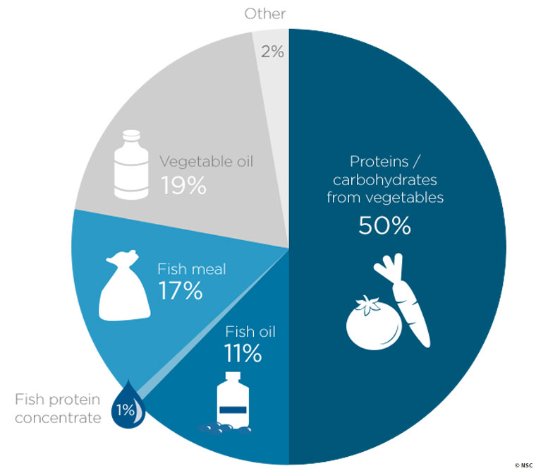 Atlantic salmon,Salmo salar