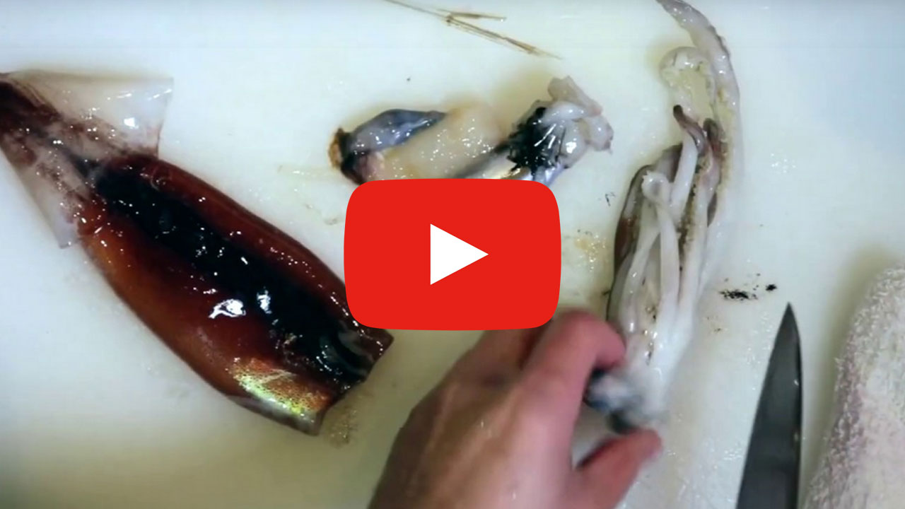 イカのさばき方