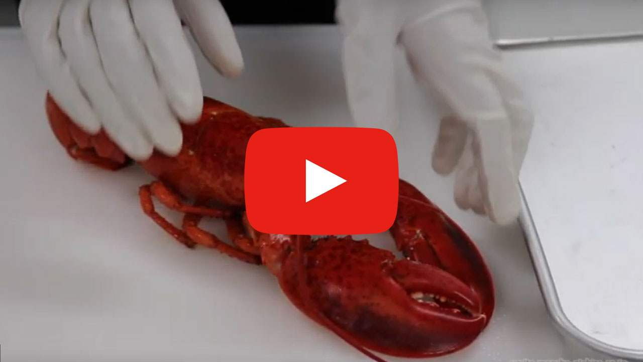 オマールエビのカット方法その②