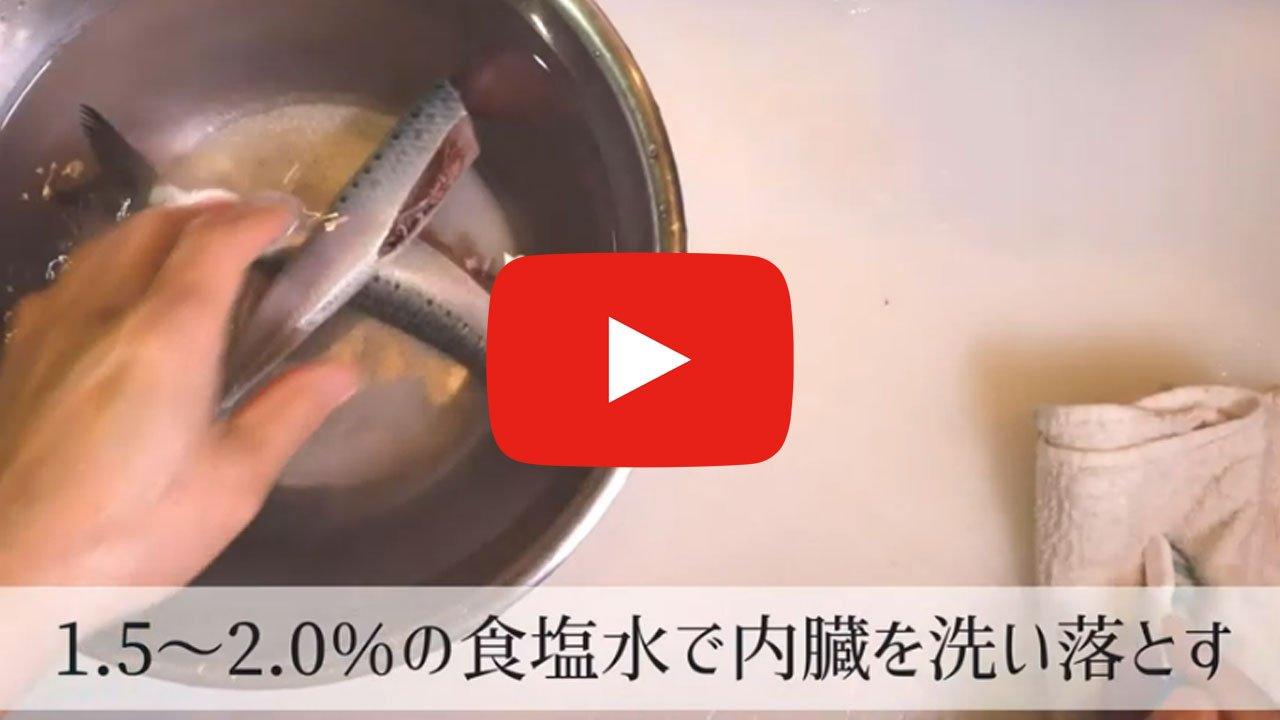 マイワシの3枚卸し・手開き